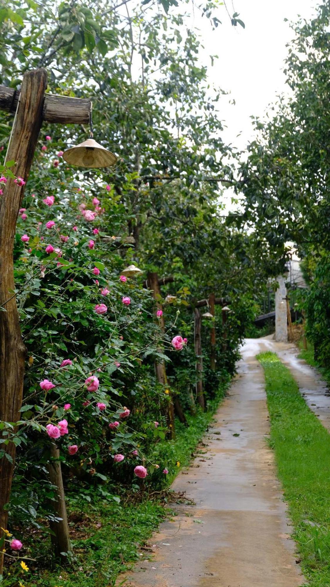 Moc Tra Farm Villa Xuan Truong Ngoại thất bức ảnh