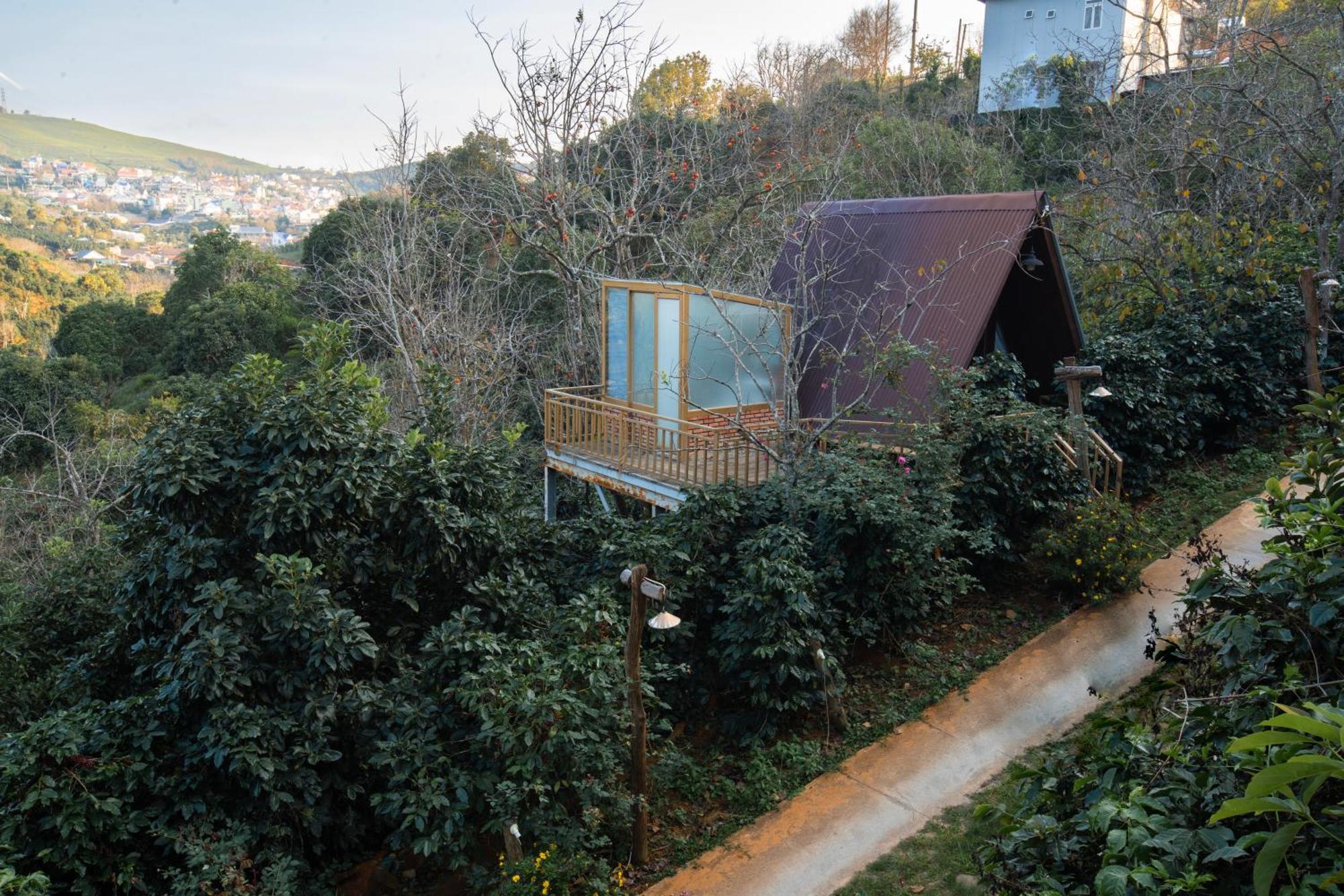 Moc Tra Farm Villa Xuan Truong Ngoại thất bức ảnh